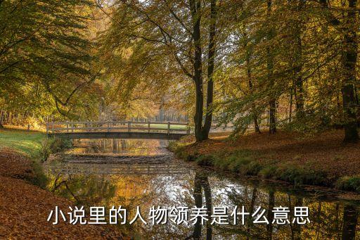 小說里的人物領(lǐng)養(yǎng)是什么意思