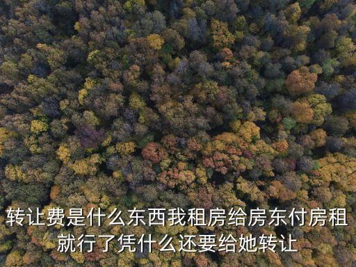 轉(zhuǎn)讓費(fèi)是什么意思，轉(zhuǎn)讓費(fèi)是什么意思