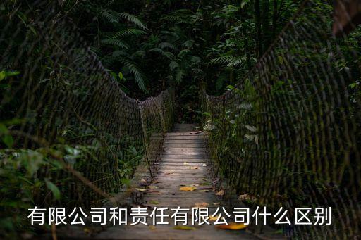 有限公司和責任有限公司什么區(qū)別