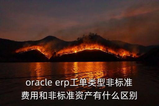 oracle erp工單類型非標(biāo)準(zhǔn)費(fèi)用和非標(biāo)準(zhǔn)資產(chǎn)有什么區(qū)別