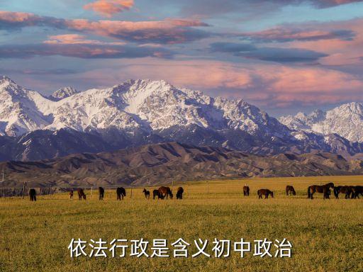 依法行政的內(nèi)涵，依法行政的含義