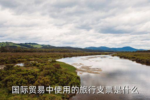 旅行支票，國(guó)際貿(mào)易中使用的旅行支票是什么