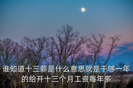 誰知道十三薪是什么意思就是干夠一年的給開十三個(gè)月工資每年多