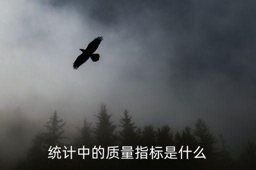 統(tǒng)計中的質(zhì)量指標是什么
