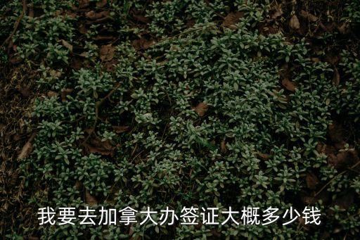 加拿大簽證費(fèi)用，加拿大留學(xué)簽證費(fèi)多少錢