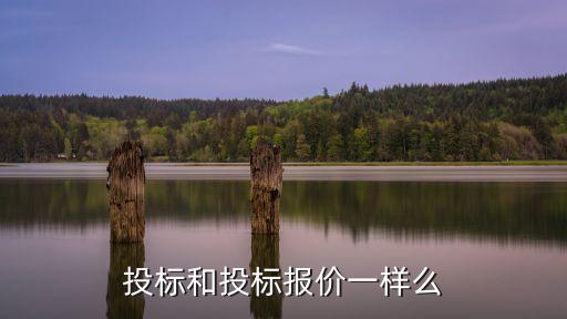 投標和投標報價一樣么
