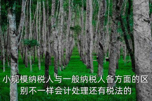 小規(guī)模納稅人與一般納稅人各方面的區(qū)別不一樣會(huì)計(jì)處理還有稅法的