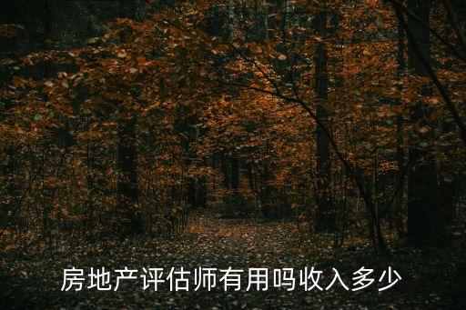 房地產(chǎn)評估師有用嗎收入多少
