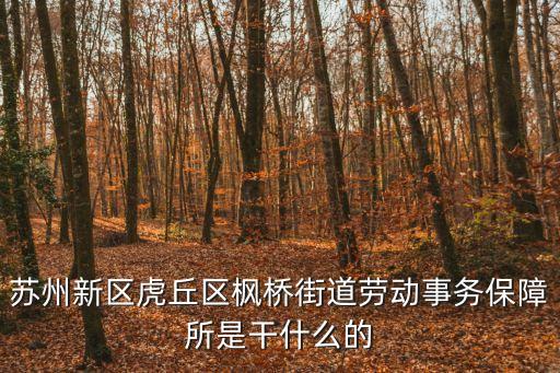 勞務(wù)所，想知道 上海市 石化勞動(dòng)服務(wù)所 在哪