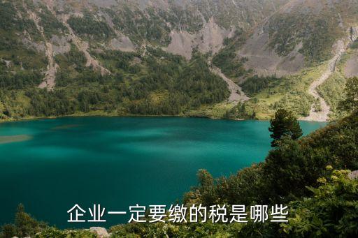 企業(yè)一定要繳的稅是哪些