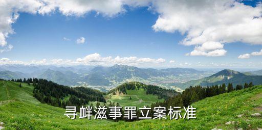 尋釁滋事罪立案標(biāo)準(zhǔn)，尋釁滋事罪的立案標(biāo)準(zhǔn)