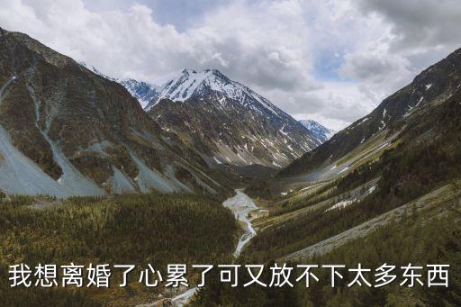 我想離婚了心累了，我真的很想離婚了真的很累甚至有一種想輕生的念頭我很累
