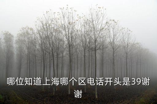哪位知道上海哪個區(qū)電話開頭是39謝謝
