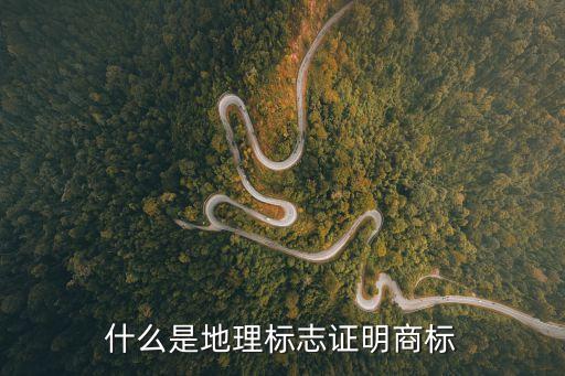 什么是地理標(biāo)志證明商標(biāo)
