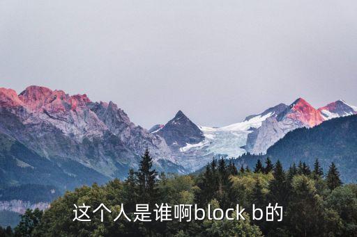 這個(gè)人是誰(shuí)啊block b的