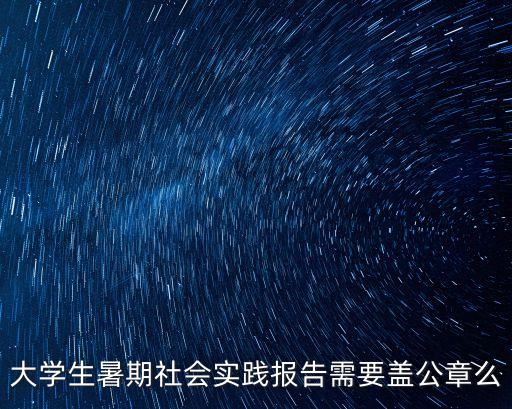 大學(xué)生暑期社會(huì)實(shí)踐報(bào)告需要蓋公章么