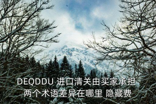 DEQDDU 進(jìn)口清關(guān)由買家承擔(dān) 兩個(gè)術(shù)語(yǔ)差異在哪里 隱藏費(fèi)