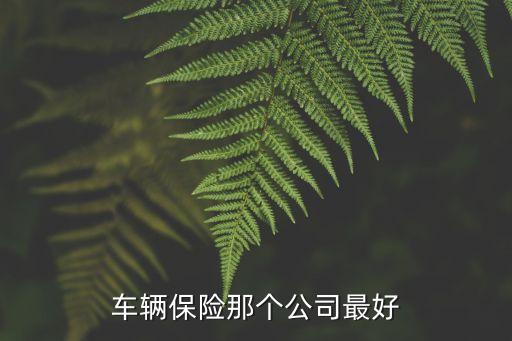 車輛保險(xiǎn)公司，車輛保險(xiǎn)那個(gè)公司最好