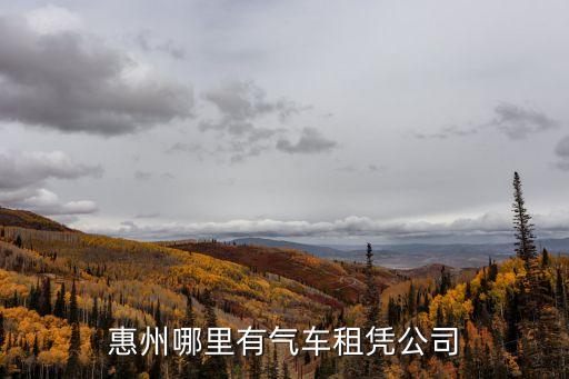 惠州哪里有氣車租憑公司