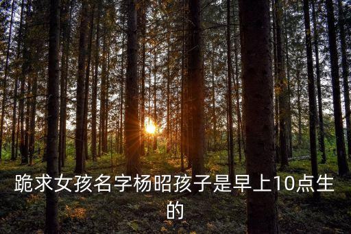 跪求女孩名字楊昭孩子是早上10點(diǎn)生的