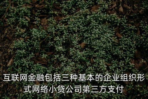 互聯(lián)網(wǎng)金融是什么，網(wǎng)絡金融是做什么的啊