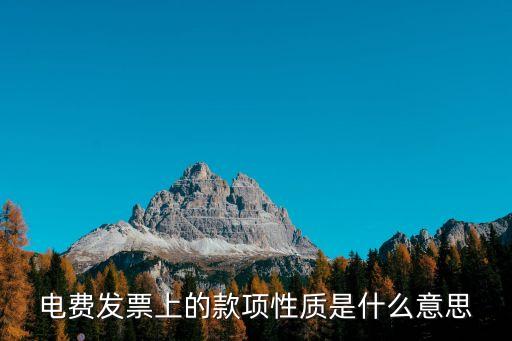 電費發(fā)票上的款項性質(zhì)是什么意思