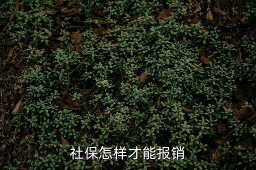 社保報銷，社保怎樣才能報銷