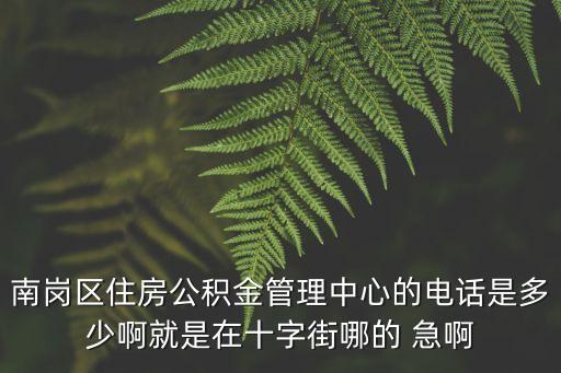大連公積金電話，五大連池市公積金管理處在哪里電話是多少