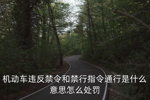 違反禁令標(biāo)志指示是什么意思，咸陽(yáng)機(jī)場(chǎng)T3航站樓出發(fā)層下違反禁令標(biāo)志是什么意思