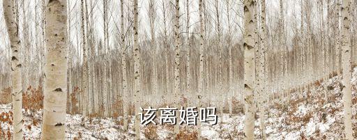 該不該離婚，該不該離婚呢