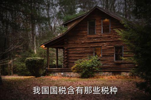 中國(guó)國(guó)稅，我國(guó)國(guó)稅含有那些稅種