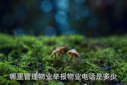 物業(yè)投訴電話，請問投訴物業(yè)應該打那個電話呢急用謝謝