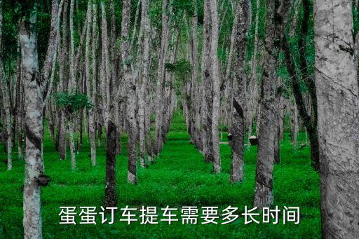 蛋蛋訂車，蛋蛋訂車怎么樣