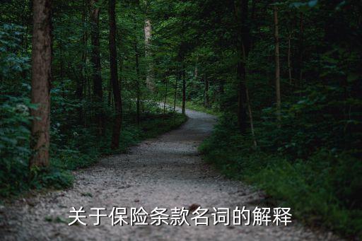 保險條款，關于保險條款名詞的解釋