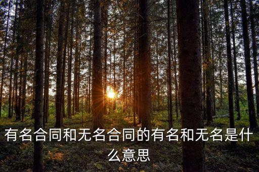 無名合同，如何解決無名合同的法律適用