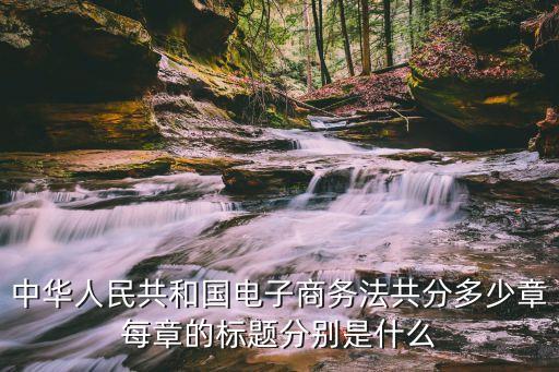 中華人民共和國電子商務法共分多少章每章的標題分別是什么