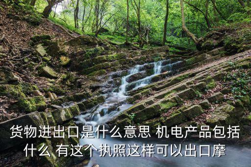 貨物進出口，貨物進出口是什么