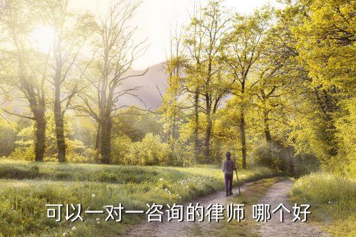 可以一對(duì)一咨詢的律師 哪個(gè)好