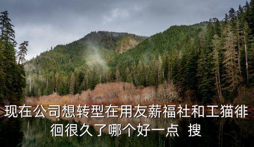 工貓，現(xiàn)在公司想轉(zhuǎn)型在用友薪福社和工貓徘徊很久了哪個好一點  搜