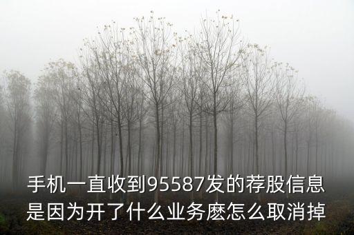 95587，手機(jī)一直收到95587發(fā)的薦股信息是因為開了什么業(yè)務(wù)麼怎么取消掉