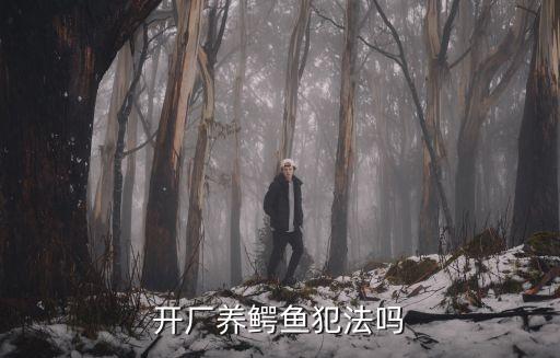 養(yǎng)鱷魚犯法嗎，在廣州養(yǎng)泰國幼鱷魚是否犯法啊