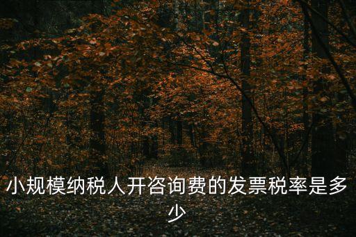小規(guī)模納稅人開咨詢費(fèi)的發(fā)票稅率是多少