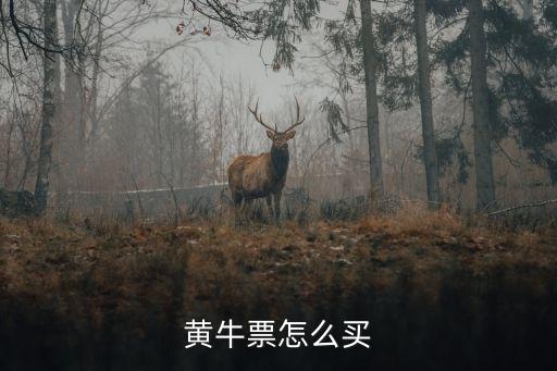 怎么找黃牛買票，想找到買火車票的黃牛去哪里找