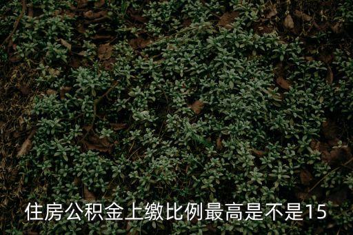 公積金最高比例，住房公積金上繳比例最高是不是15