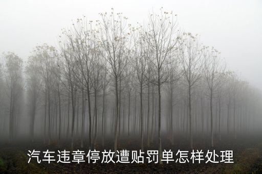違停罰單，汽車違章停放遭貼罰單怎樣處理