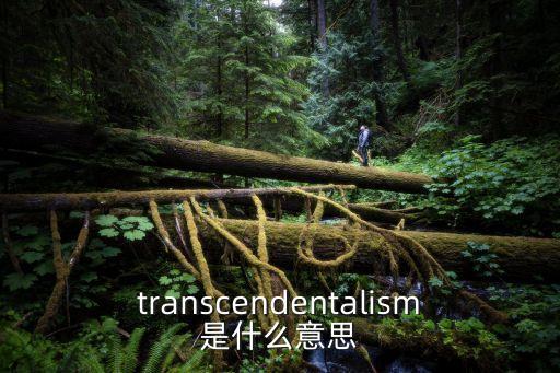 結(jié)果主義，結(jié)果主義道德倫理是什么
