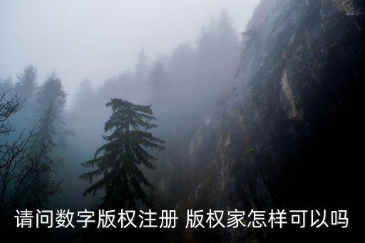 版權(quán)家，請(qǐng)教一下版權(quán)家靠譜嗎
