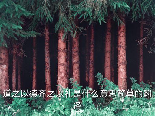 道之以德齊之以禮，道之以德齊之以禮知恥且格 什么意思