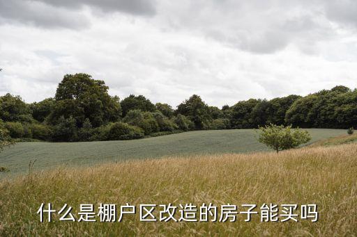 棚戶區(qū)是什么意思，國有企業(yè)棚戶區(qū)是什么意思