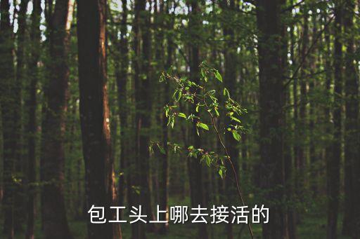 包工頭上哪去接活的